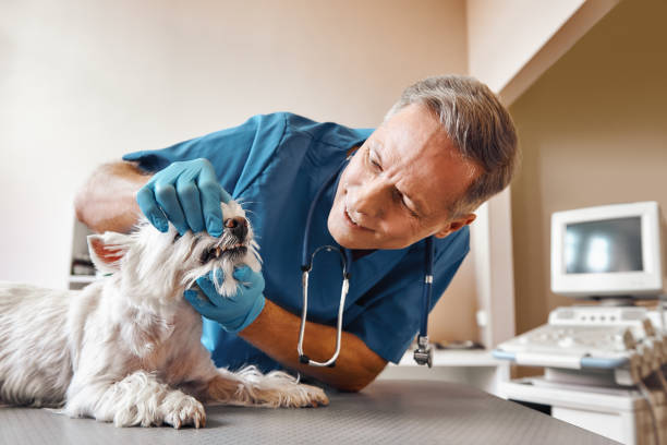 Best Emergency Tooth Extraction in New Market, TN